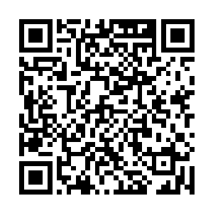 淡金色防护罩里面每层都流转着繁密细致的金黄色花纹二维码生成
