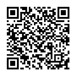 淤积在此地的天地能量统统被漆黑巨龙吸收同化二维码生成