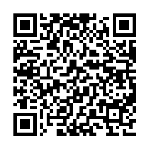 深入墨之战场的墨族小队不可能无缘无故地失踪二维码生成