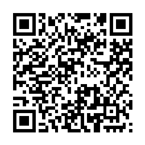 深刻明白这个道理的学徒只感觉自己头皮一阵发麻二维码生成