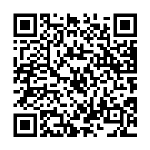 深埋在脑海中的一个美丽倩影跟面前女孩面容慢慢重叠二维码生成