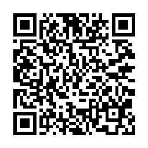 深怕哪天吴岩也会用这些诡异的妖藤来对付他们二维码生成