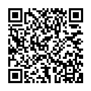 深挖出洞穴的碧月夫人又跳出了峡谷到处东张西望检查了一下二维码生成