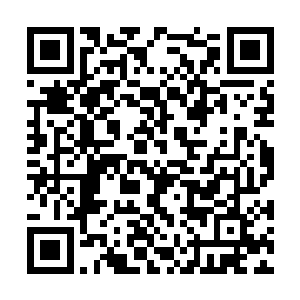 深深地注视着那一片笼罩在橘黄色灯光之下的舞台二维码生成