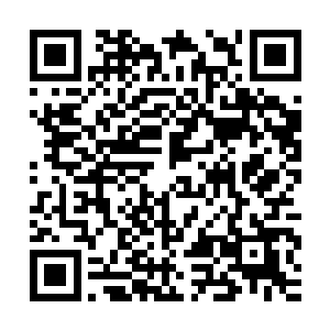 深深浅浅的绿色可以有效的阻隔那些高空卫星划过时拍摄的镜头二维码生成