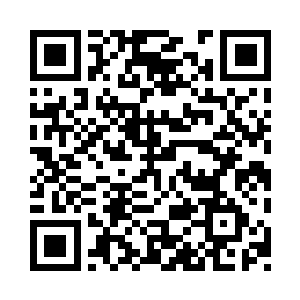 深渊就像是我展示了它惊人的生物多样性二维码生成