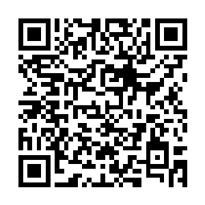 深蓝世界的生存环境修炼环境以及更加广阔的天地二维码生成