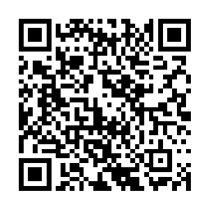 深蓝细小蛊虫和白莲空灵大掌眼看就要触及度人琴二维码生成