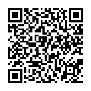 深藏在洞内的聚火蜥显然是被一连串的攻击给惹怒了二维码生成