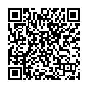 深遂的眸一瞬一瞬地紧盯着正在做热身准备的水心柔二维码生成