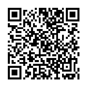 混乱之城也终于出现在了杨戬几个人的视线之中二维码生成