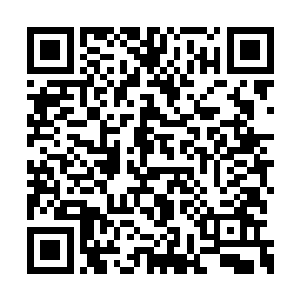 混元宗内部怀疑乾坤圣魔老人并没有真正的死亡二维码生成