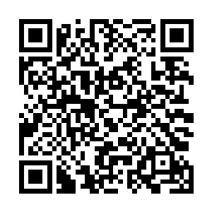 混在弹涂鱼队伍里朝主空间进发的颜洛儿也同时收到消息二维码生成