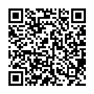 混天大圣爷爷……还有做了佛又回归妖族的齐天大圣爷爷二维码生成