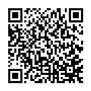 混杂在下水道中的数百条秘密通道全都储存在了你的晶脑之中二维码生成