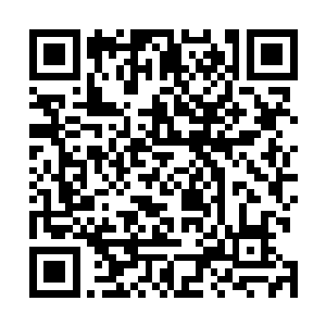 混沌之体那超强的恢复能力顿时被淋淋尽是的展现了出来二维码生成