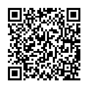 混沌仙雾可就是在第二神树上面的仙岛中取得的二维码生成