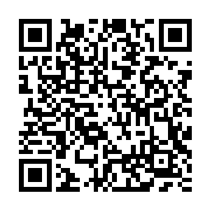 混沌周天星斗大阵这个恐怖的大杀器再一次开始疯狂的收割起来二维码生成