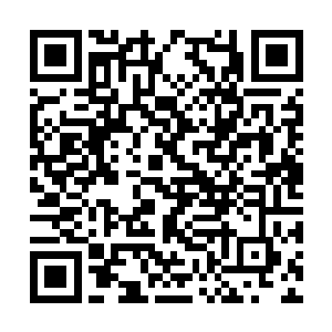 混沌域界中的大多数修士在瞬间就被压趴在了地上二维码生成