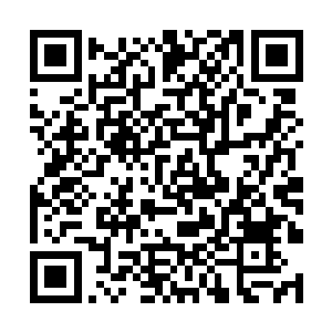 混沌域界的其他修士们全都古怪地看着眼前的这一幕二维码生成