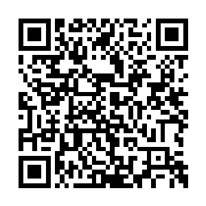 混沌宇宙有一部分在异界里的大能也认出了沧海二维码生成