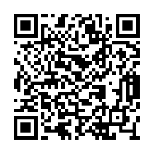 混沌宇宙的修士们知道这支军队是你训练出来的二维码生成