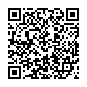 混沌钟为了抵挡金翅大鹏鸟全力一击已经消耗了大量的力量二维码生成