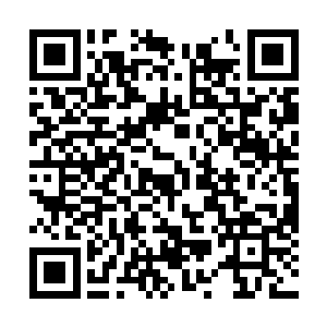 添加朋友选择最下面那行公众号搜索输入蚕茧jian二维码生成