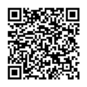 清云先生对两个刚出生不久的小宝宝也是十分喜欢二维码生成