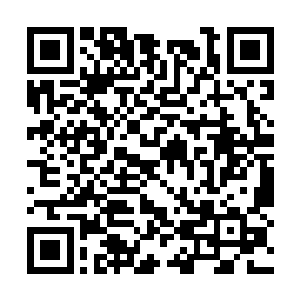 清云先生暂住的院落在王府深处的一处幽静的小院二维码生成