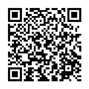 清吏司郎中翟俊涛笑着将刑部尚书何鳌迎到了房间正中的位置上二维码生成