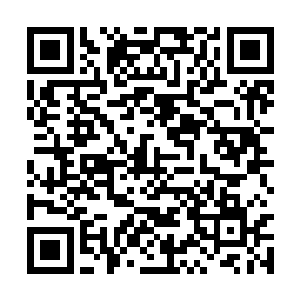 清尘公子纵然天纵奇才奈何他对武功一道一窍不通二维码生成