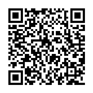 清岚郡主原本毫无血色的脸颊慢慢的恢复了红晕二维码生成