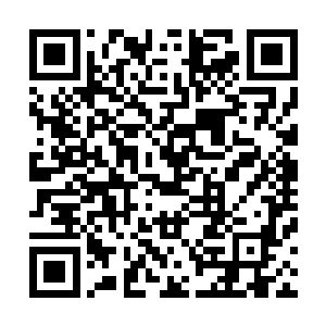 清心老道的所有动作全都如同施了定身术一样定格在了当场二维码生成