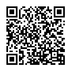 清新文化公司只敢在其他周边省份铺货三十万册而已二维码生成