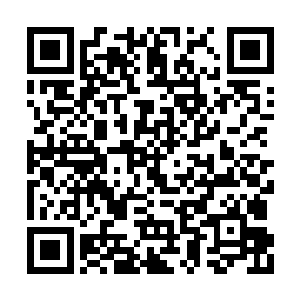 清新文化公司的李秀颖竟然通知他去分赃……哦二维码生成