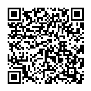 清晰简短的英文回应就好像那简短的电话铃声一样充满特工的专业味儿二维码生成