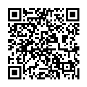 清月居的下人们纵是对上这位翰林院学士也毫不慌张二维码生成