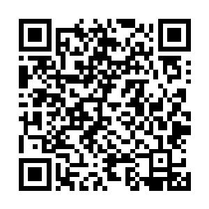 清楚夫君的原本方案是裹挟州军参战――这种分化主次敌人二维码生成