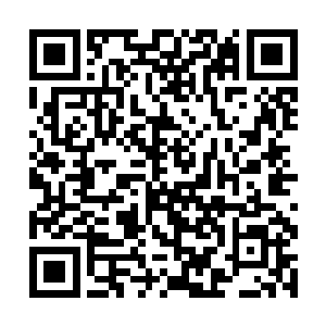 清楚看到几只蚊子因为我的关闭窗户动作而进入房间二维码生成