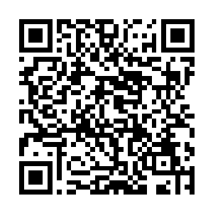 清澈安然地望着苏落素净绝美的容颜抿着浅浅的笑容二维码生成