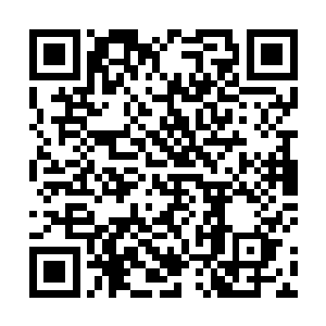 清玉撑起一把凤羽珩准备的伞挡在上方以免被冰雹砸伤二维码生成