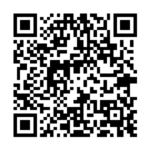 清脆的巨响声音宛若炮弹般轰地震响于众人的脑海当中二维码生成