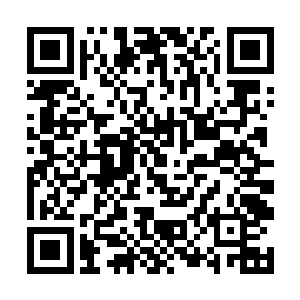 清虚门和流云宗又岂不知这么做对人族暂时是最好的二维码生成