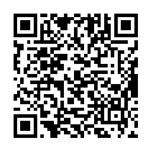 清虚门和流云宗都没有打算让无极宗和他们平起平坐二维码生成