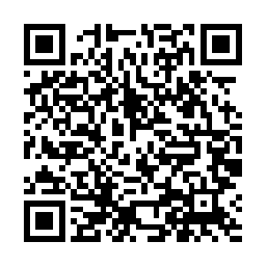 清醒后准备抬脚才发现自己要拿给卓景看的东西不见了二维码生成