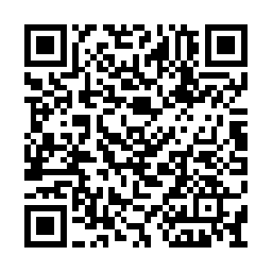 清风明月楼还有钱庄里所有的银票都留给二公子二维码生成