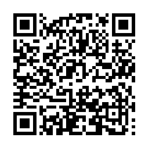 渐渐浮现出不久前在大厅独舞的那个舞姬的身影来二维码生成