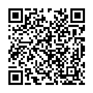 渐渐的何彤彤就觉得那种万蚁噬身的感觉渐渐消失二维码生成