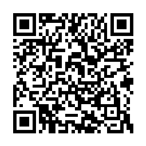 渐渐的原本几个人眼中的药园也是直接消失不见二维码生成